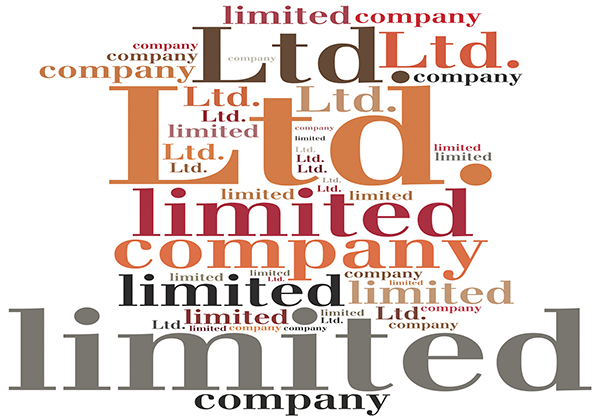 1Company